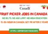 Fruit Packer Jobs in Canada
