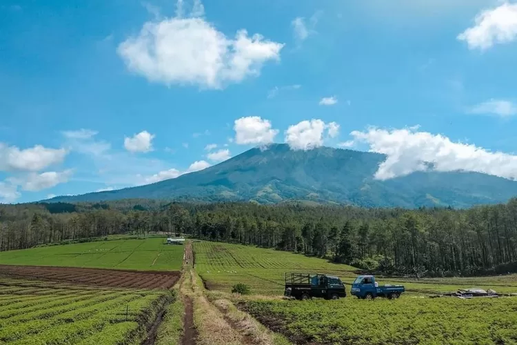 Menikmati pemandangan spektakuler dari puncak Bukit Jengkoang, surga tersembunyi di Kalimantan Barat