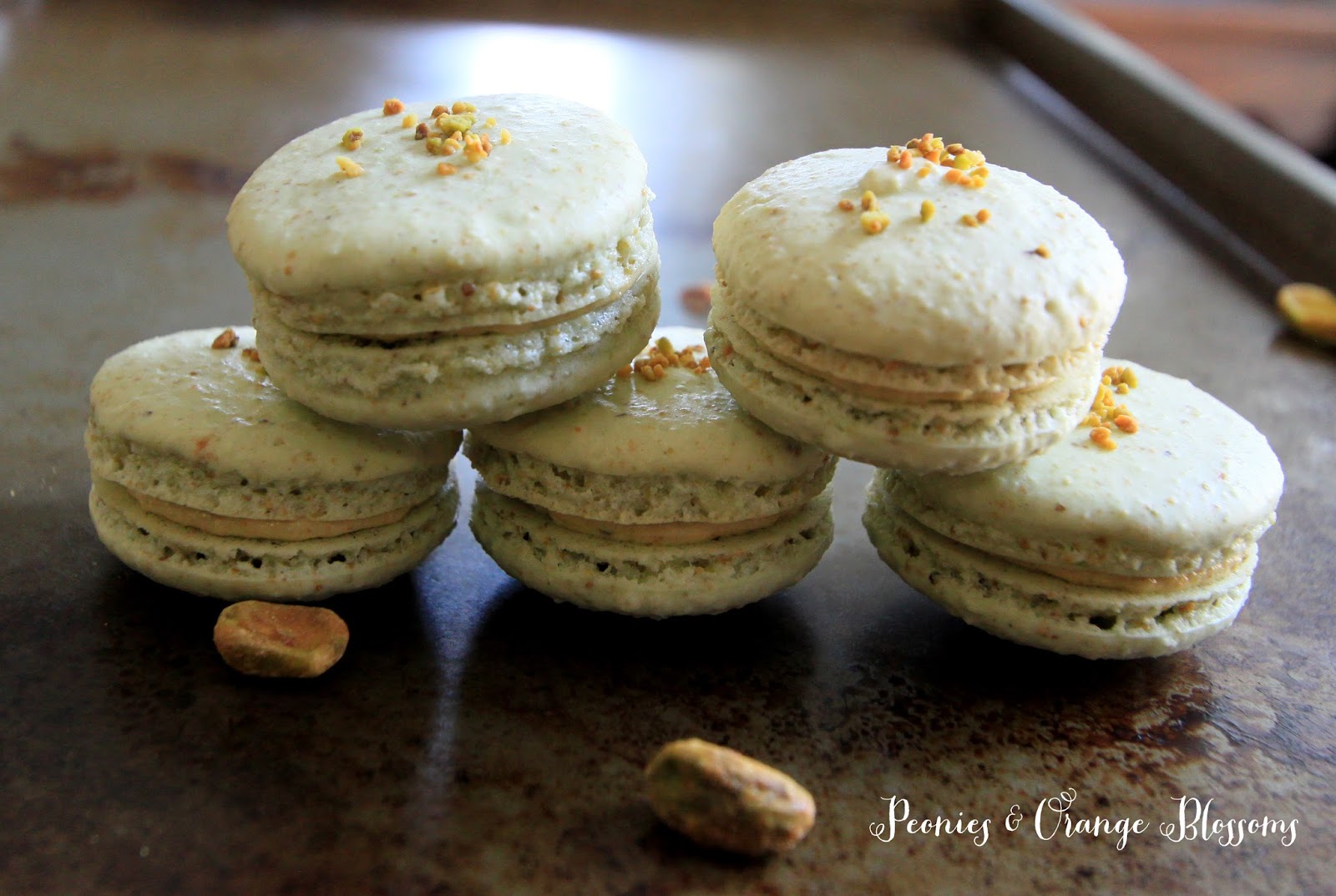 macaron-kelapa-kenikmatan-manis-yang-menggoda