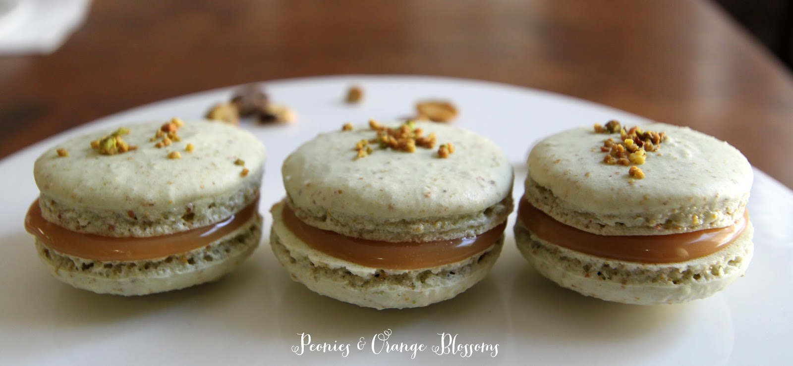 macaron-kelapa-kenikmatan-manis-yang-menggoda