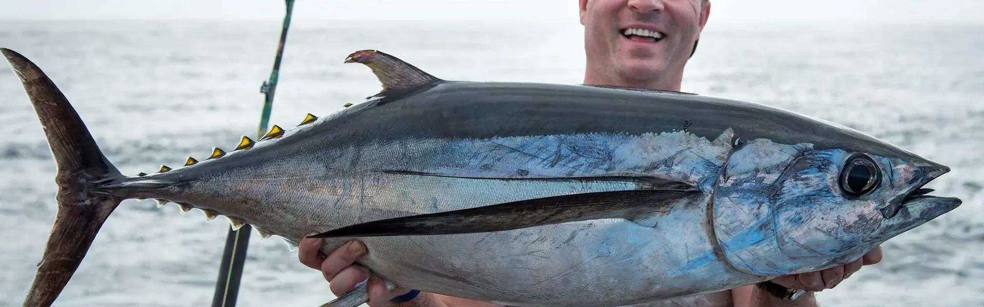 Albacore Tuna