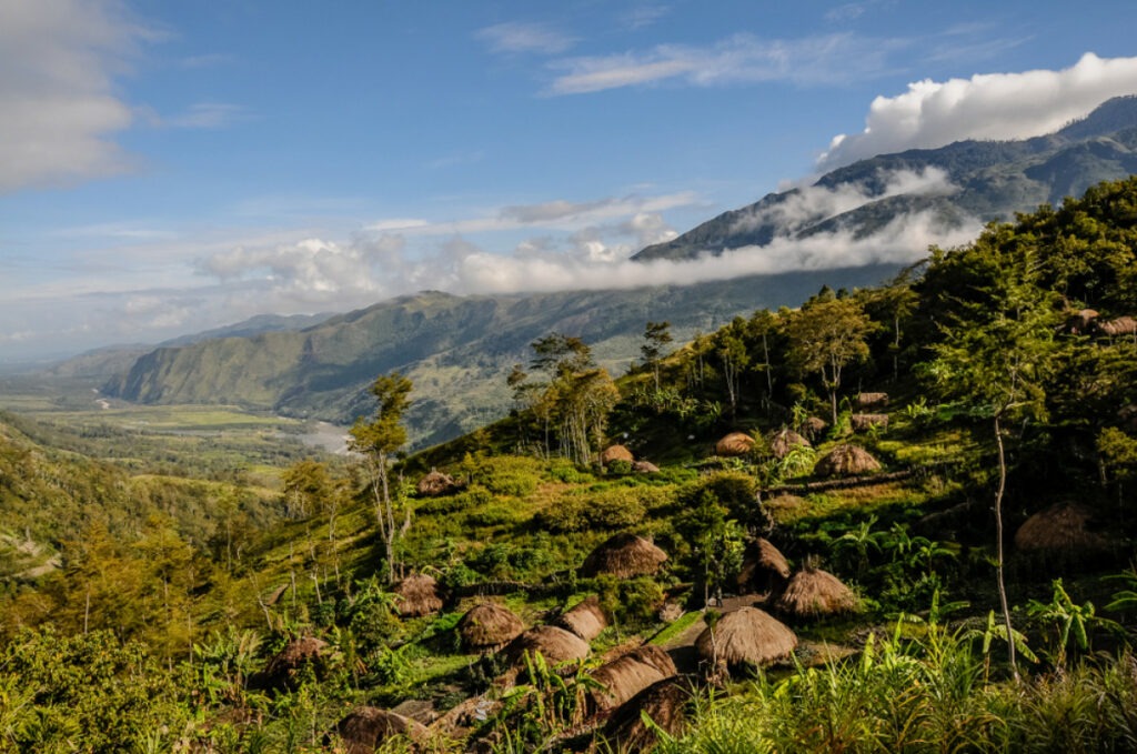 Taman Nasional
