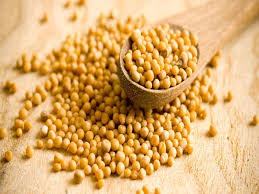 Mustard Seeds