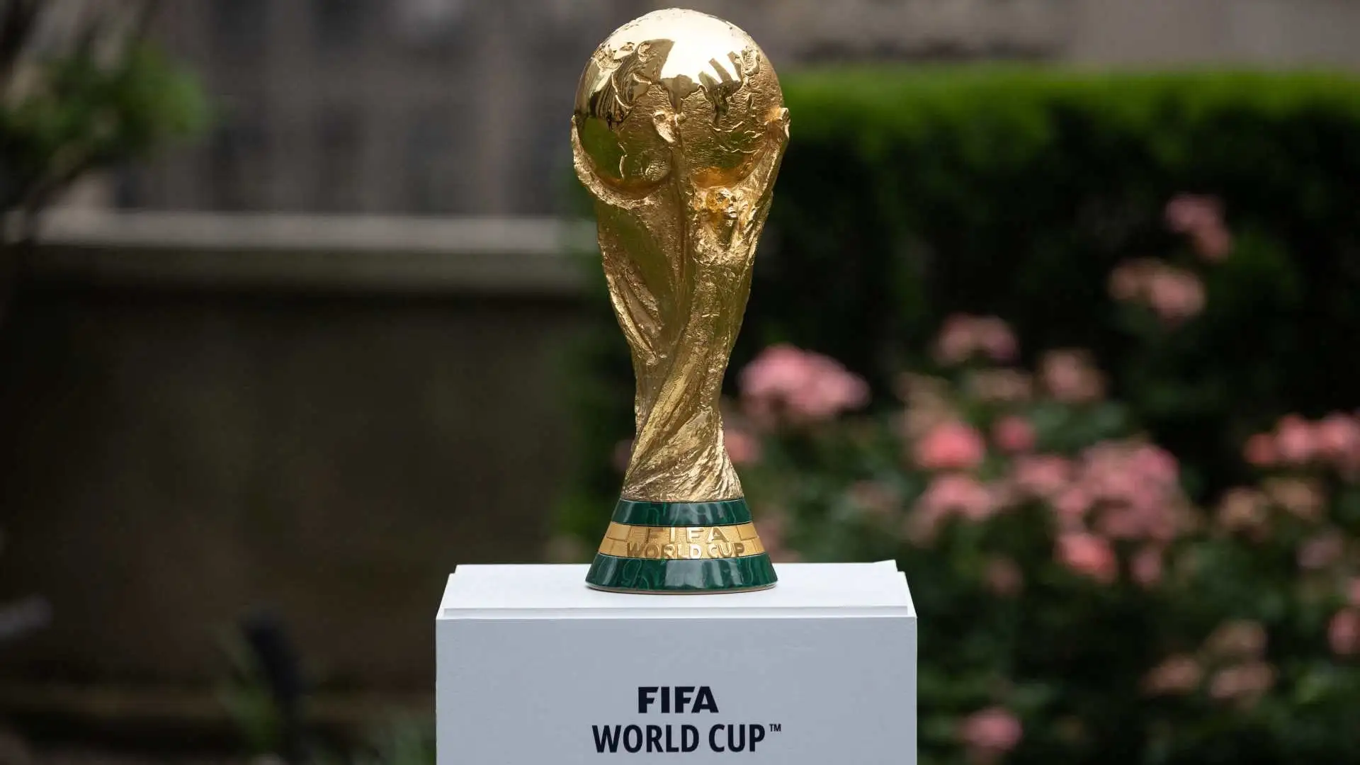 Kualifikasi Piala Dunia
