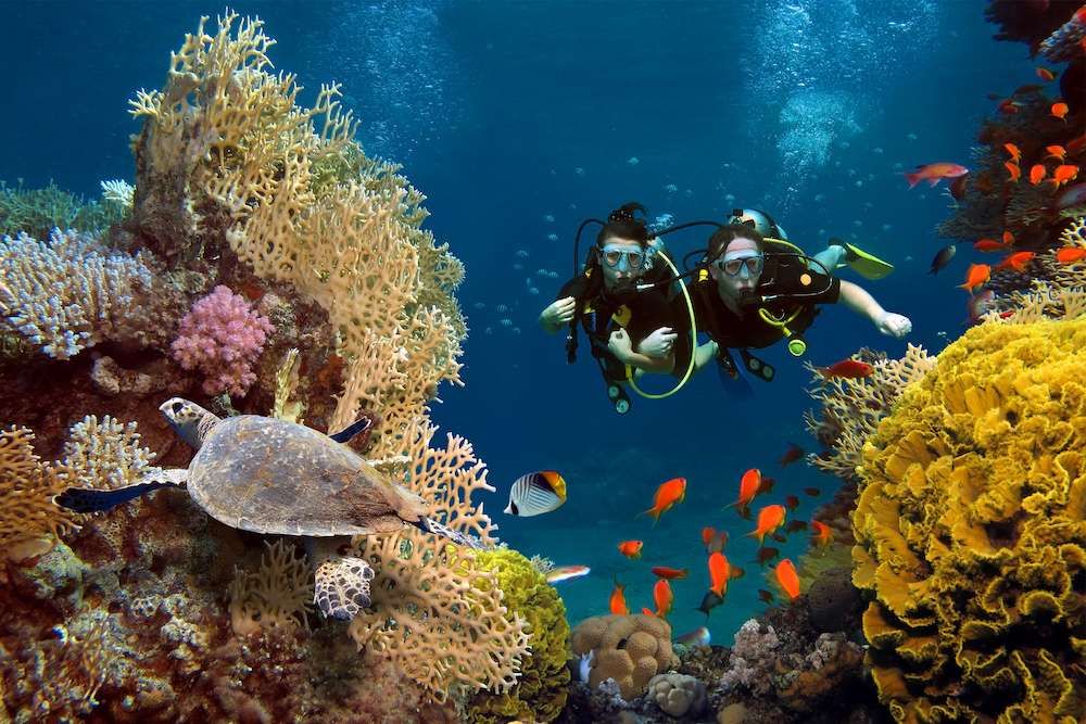 Bunaken 