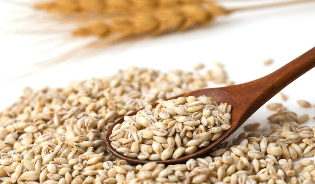 Manfaat Barley