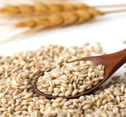 Manfaat Barley