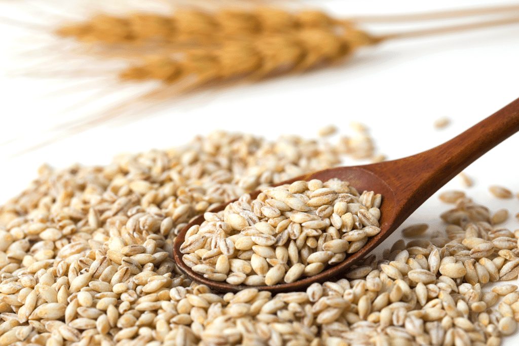 Manfaat Barley