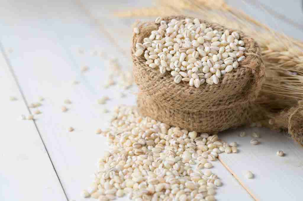 Manfaat Barley