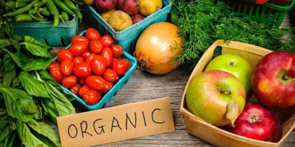 Nutrisi Makanan Organik
